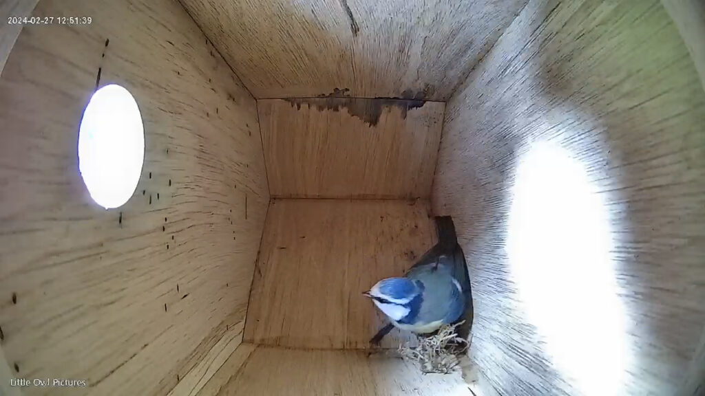 Bird Box_27-02-2024